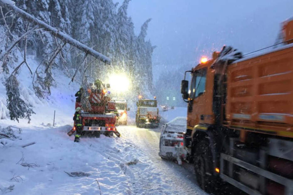 Auch für die kommende Nacht wurden neue Schneefälle angekündigt.
