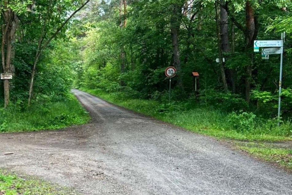 Das Bild zeigt den Waldweg, auf dem der Leichnam der 36-jährigen Joggerin im September 2024 gefunden wurde.
