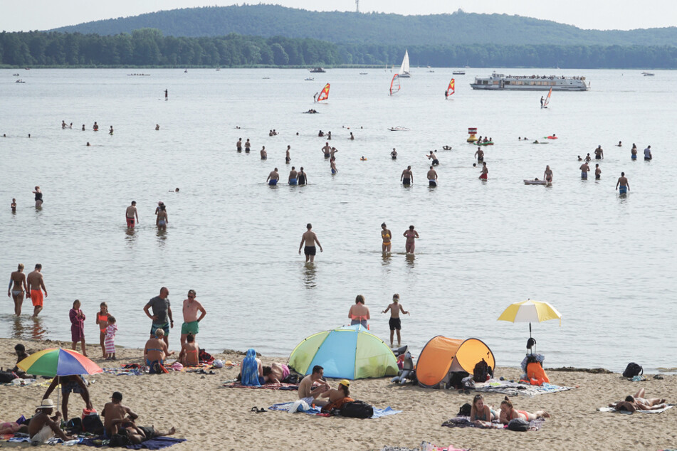 Badegäste sollten das Wasser im Müggelsee aufgrund sogenannter Fäkalbakterien meiden.