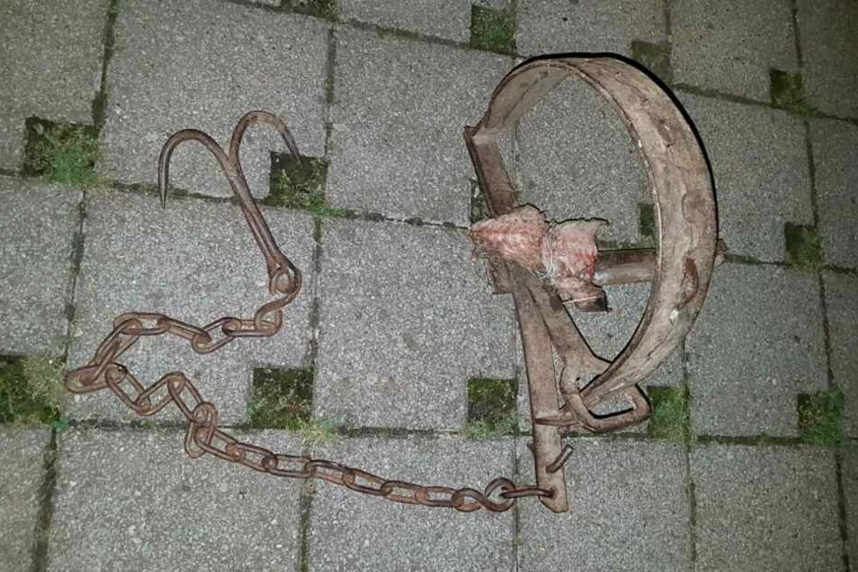 In diese Falle tappte die Katze.