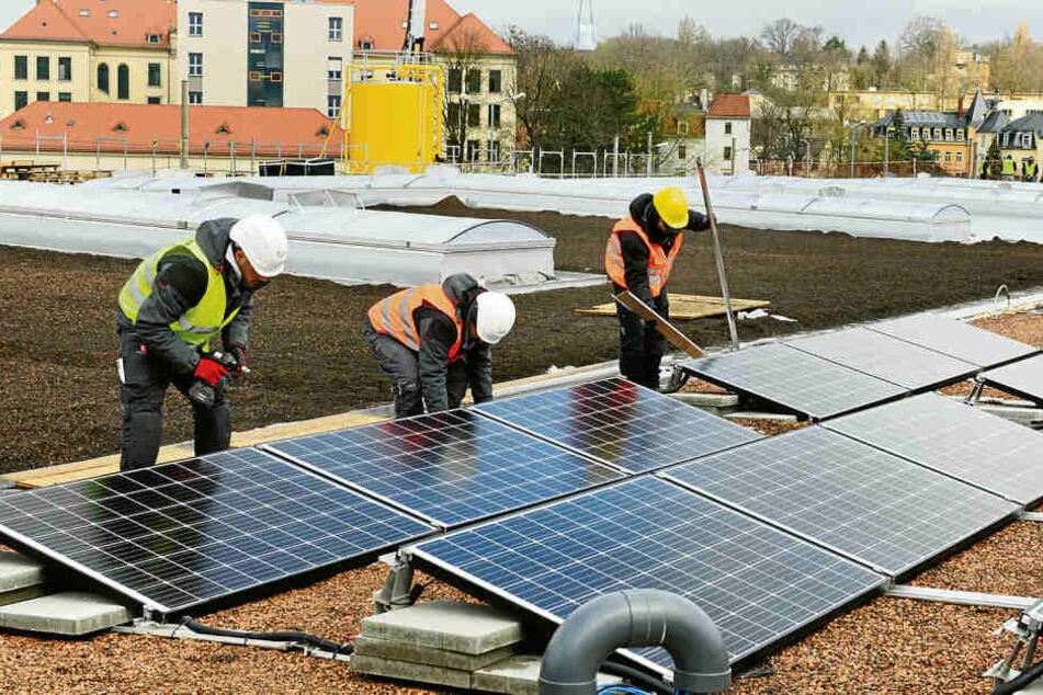 Arbeiter installieren Solaranlagen auf einem Dach in Dresden. Auch der hier produzierte Strom könnte in Zukunft über ein Schwarmkraftwerk verteilt werden.