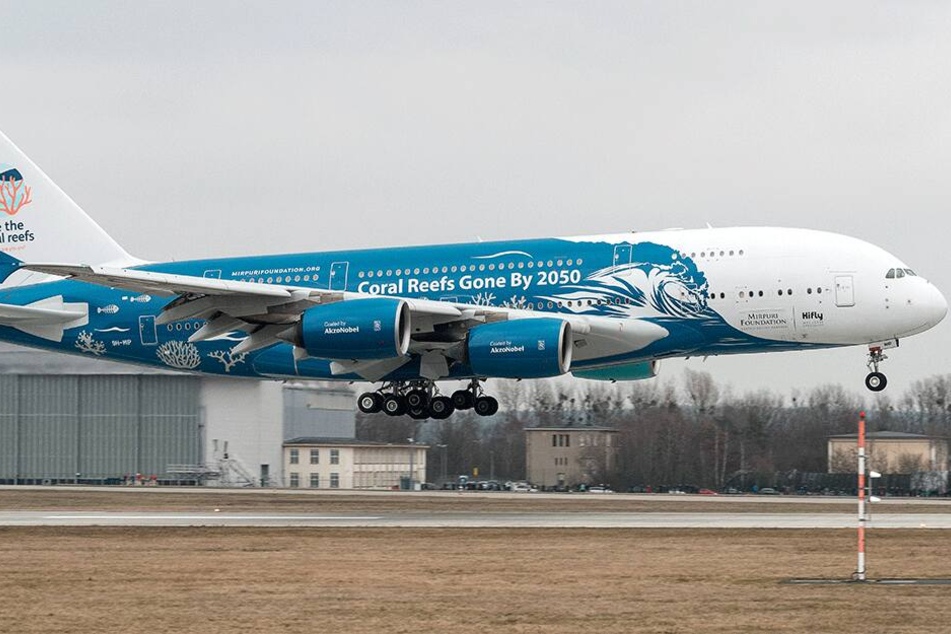 Hi Fly kennen die Dresdner durch den A380, der hier jüngst landete.