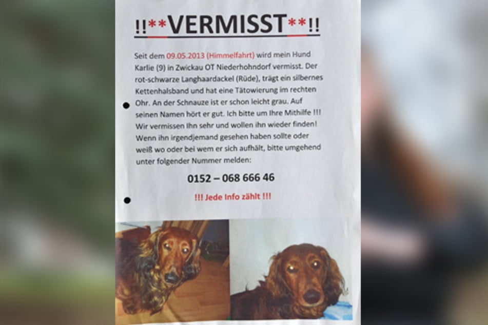 Seit vier Jahren sucht Julia Drechsel nach ihrem Karli.