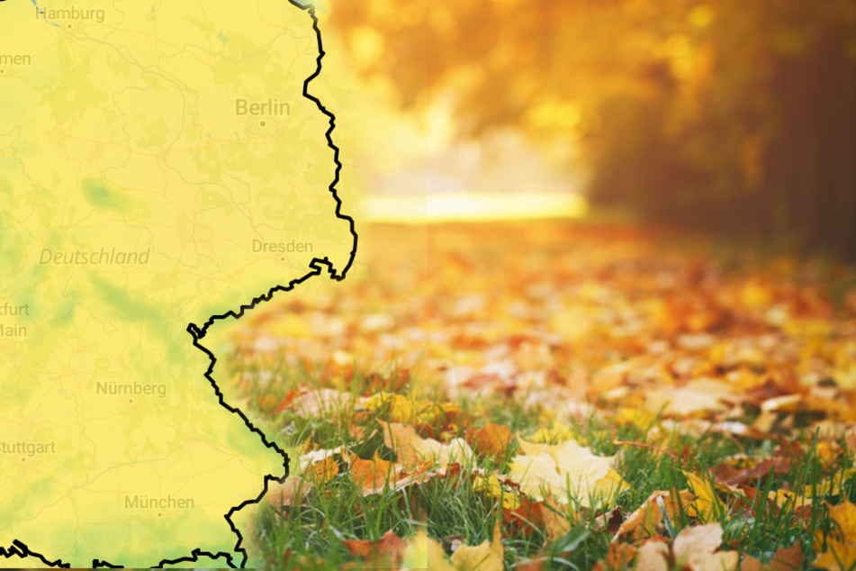 Am Wochenende wird es noch einmal mild und die Sonne kommt raus. Kommende Woche wird's dann aber ungemütlich in ganz Deutschland.