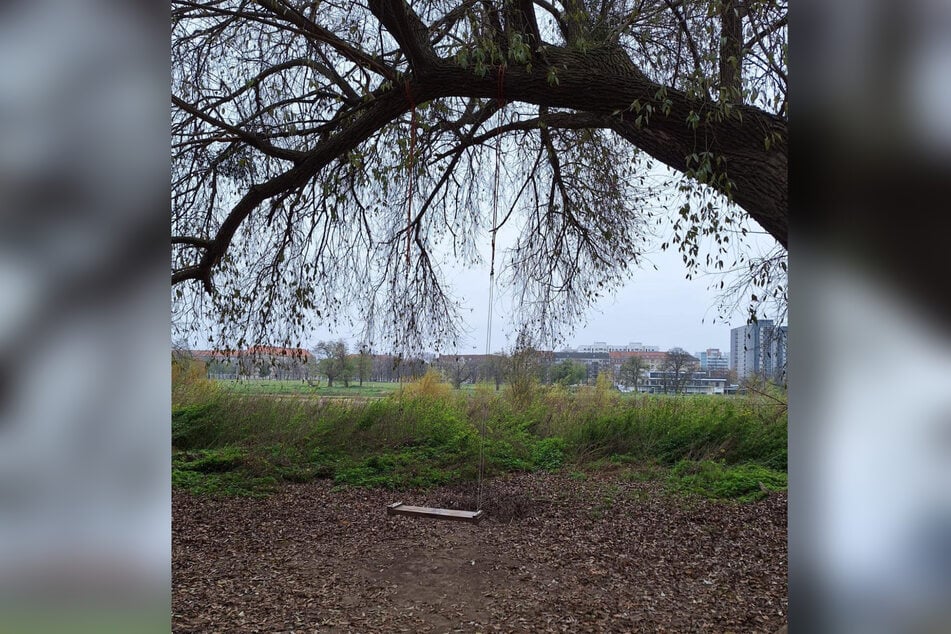 Hier lud sie noch zum Schaukelvergnügen ein.