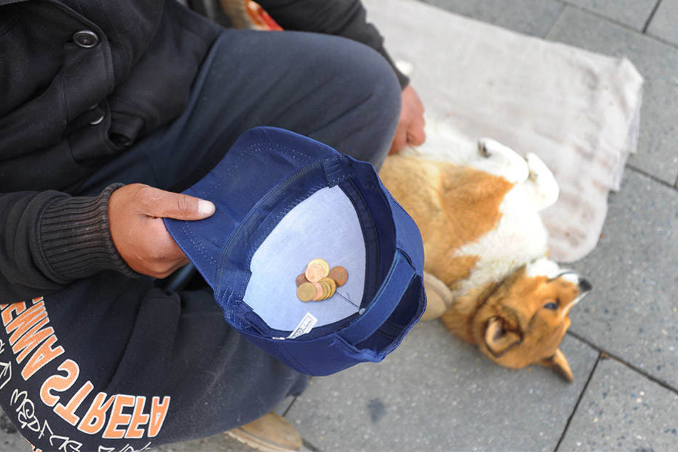 Helft Obdachlose Hunde Und Ihre Besitzer Vor Dem Kaltetod Zu Bewahren 24