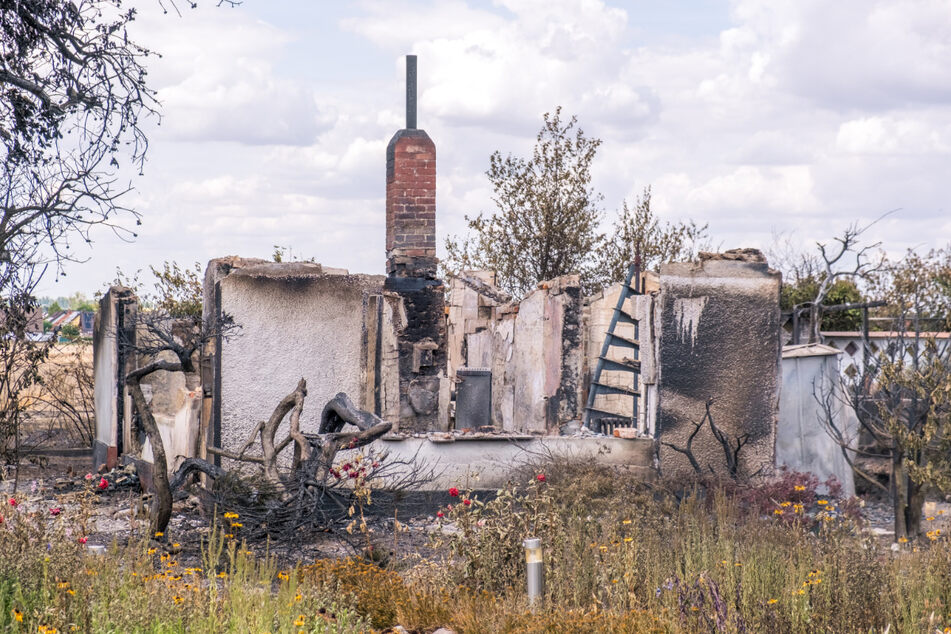 Das Feuer hatte von einem Feldbrand auf die Gärten übergegriffen. Zwischenzeitlich habe es sogar so ausgesehen, als müsse die Feuerwehr die gesamte Anlage kontrolliert niederbrennen lassen, sagte Vereinschef Helfried Natke gegenüber TAG24.