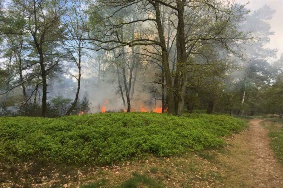 Mehrere Anrufer hatten am Freitag gemeldet, dass die Heide brennt.