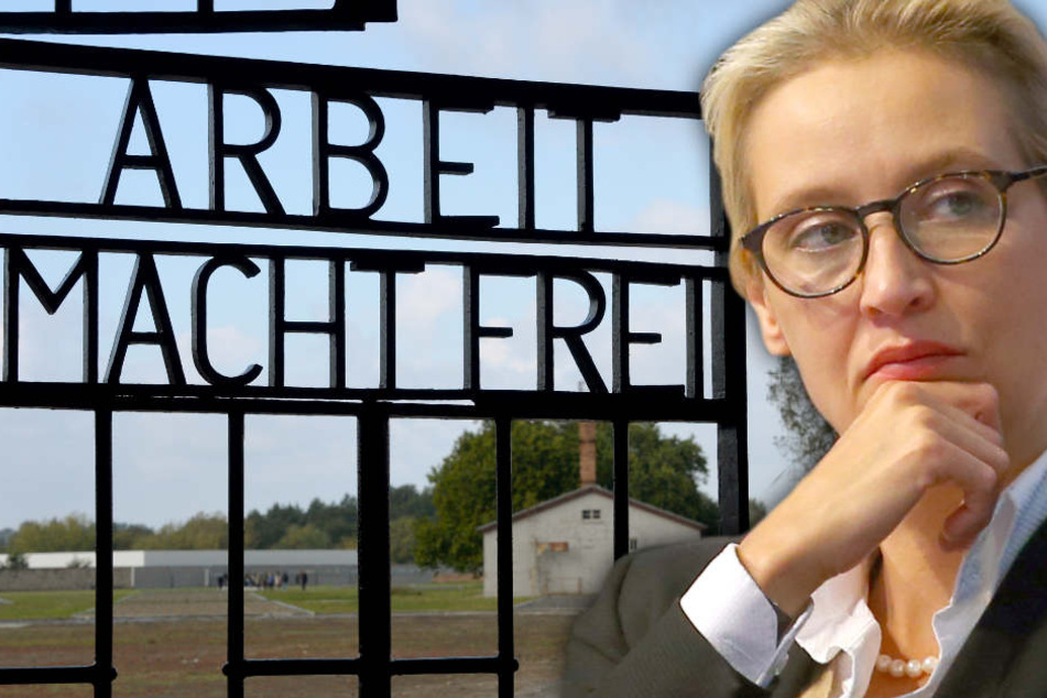 Der Sprecher von Alice Weidel gab sich überrascht: "Das Presseamt hätte uns informieren müssen. Da gab es aber gar nichts". (Bildmontage)
