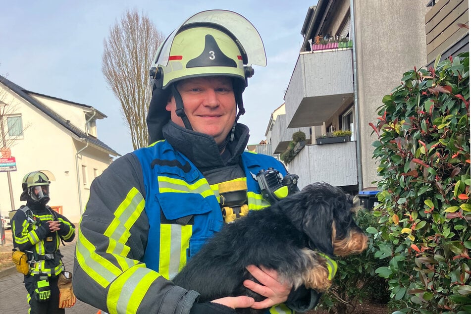 Lächelnd präsentiert ein Feuermann einen der geretteten Vierbeiner.