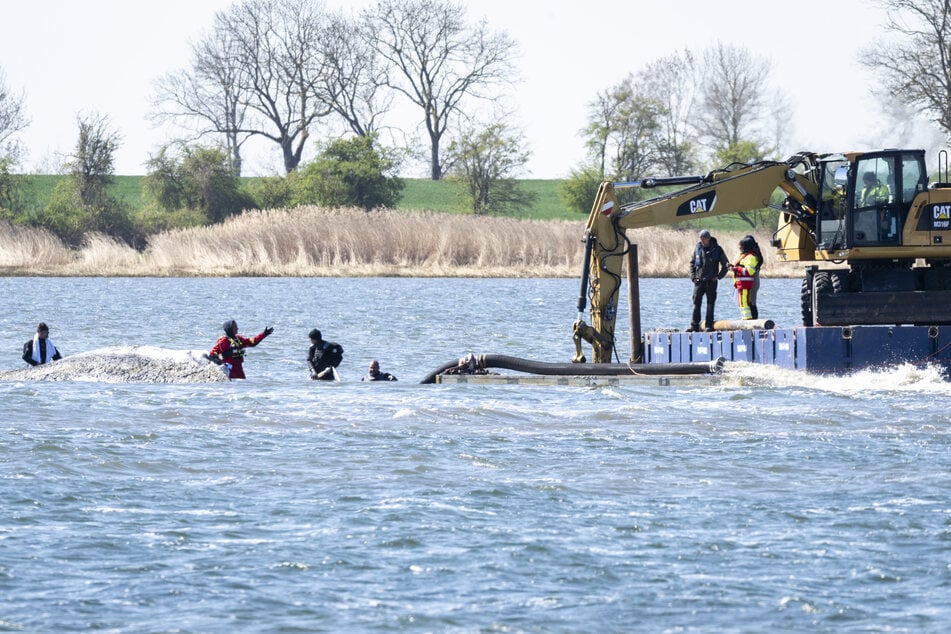 Ein mehrköpfiges Team versucht den Wal wieder freizuspülen.