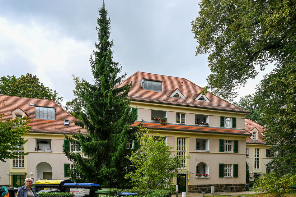 Das Apartment befindet sich in der "Cultus" Wohnanlage Bühlau.
