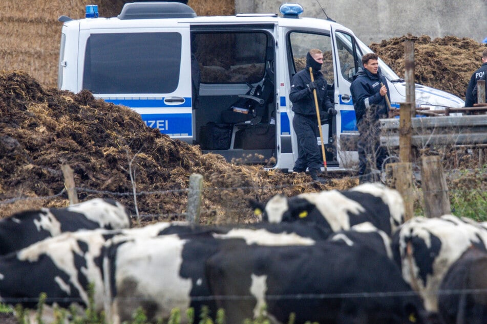 Die Polizei suchte nach dem Fund der Kinderleiche großflächig die Umgebung ab.