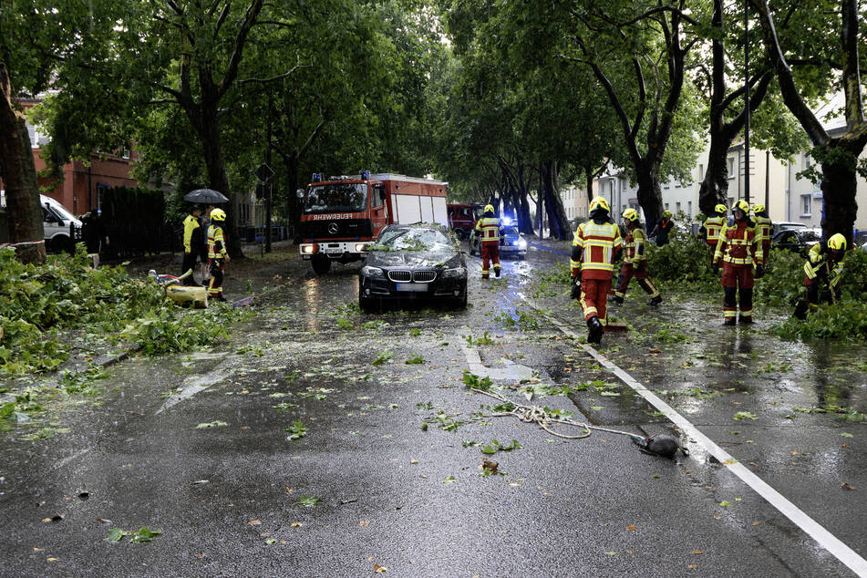 In Bitterfeld waren die Unwetterschäden besonders schlimm, unter anderem fiel ein Baum auf ein Auto.