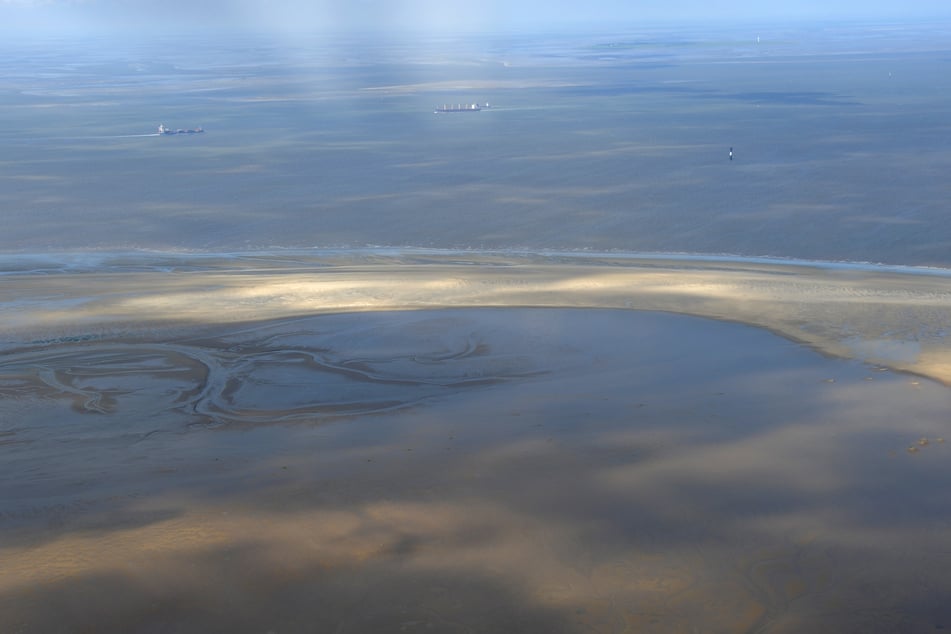 Das Bundesamt für Seeschifffahrt und Hydrographie (BSH) startet die jährliche Bestandsaufnahme der Nordsee.