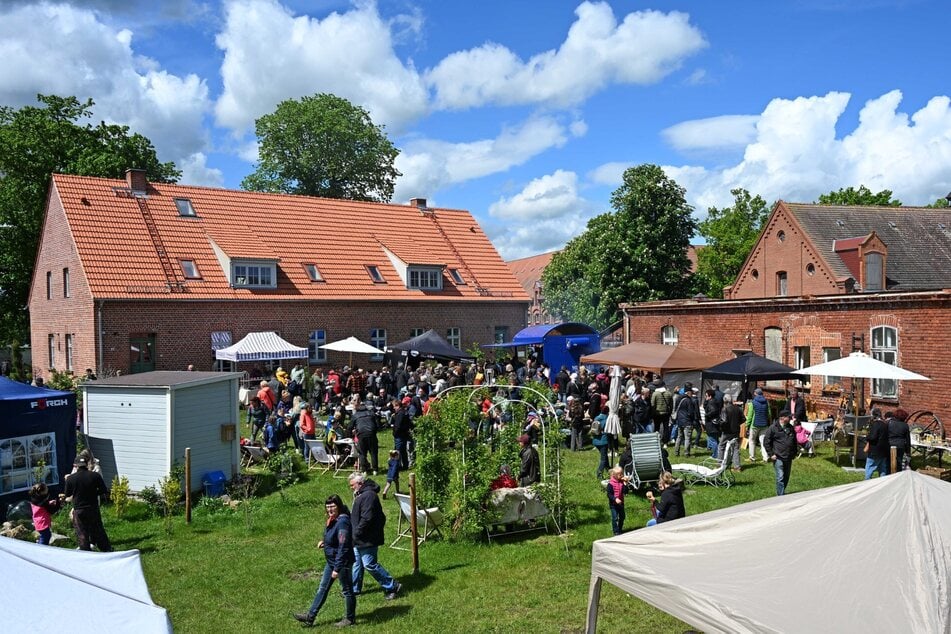 Der Markt auf dem Hof des Promi-Paares.