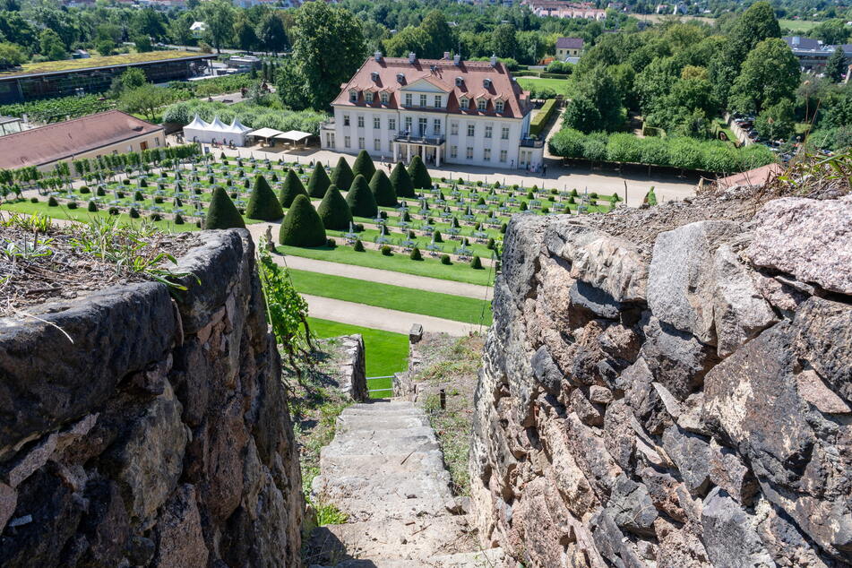 Blick von der Weinbergterrasse auf das Erlebnisweingut Schloss Wackerbarth.