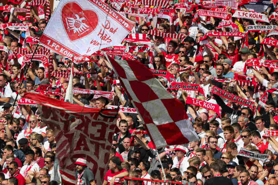 6000 Fans werden den 1. FC Köln nach Duisburg begleiten.