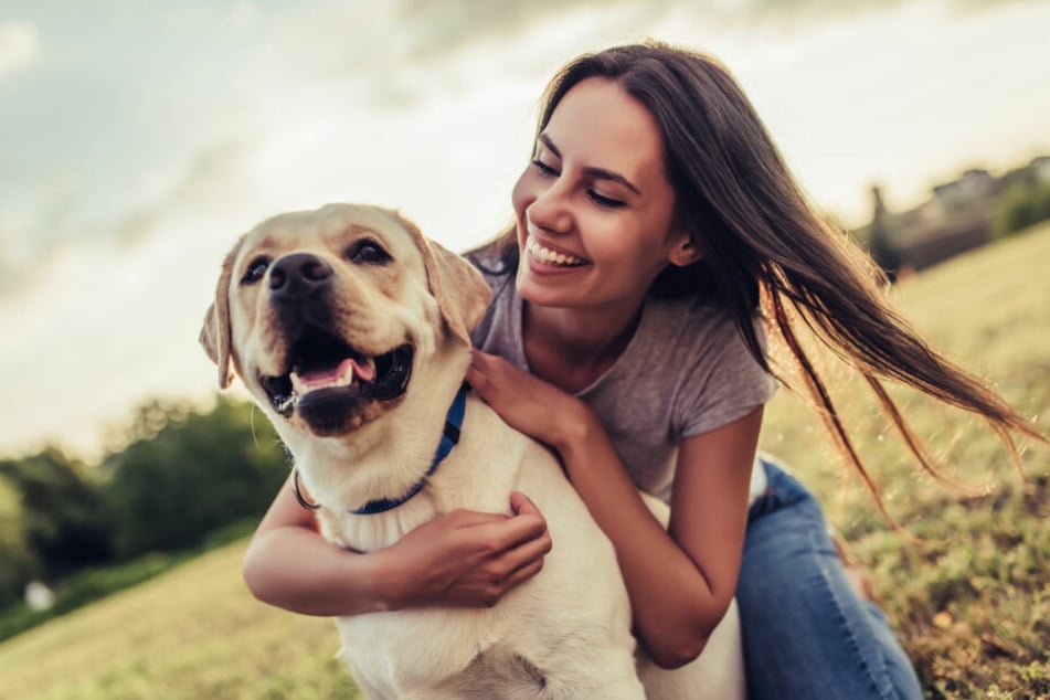 Die Hunde-Periode verläuft anders als bei Menschen.