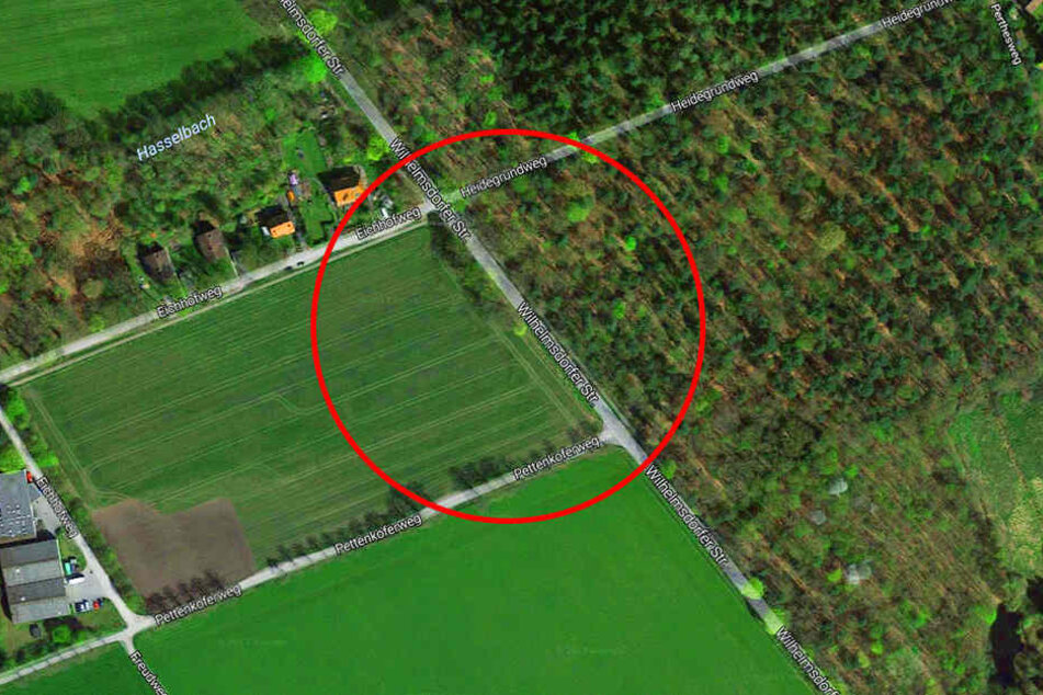 In diesem Bereich verhinderten mehrere Hindernisse die Weiterfahrt.