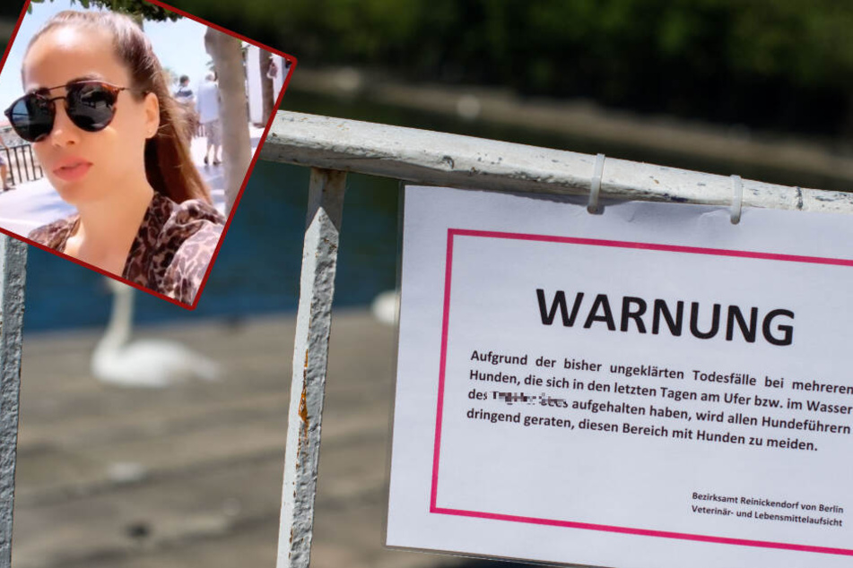 Berlin: Auch Angelina Heger warnt: Berliner, an diesem See können Hunde sterben!
