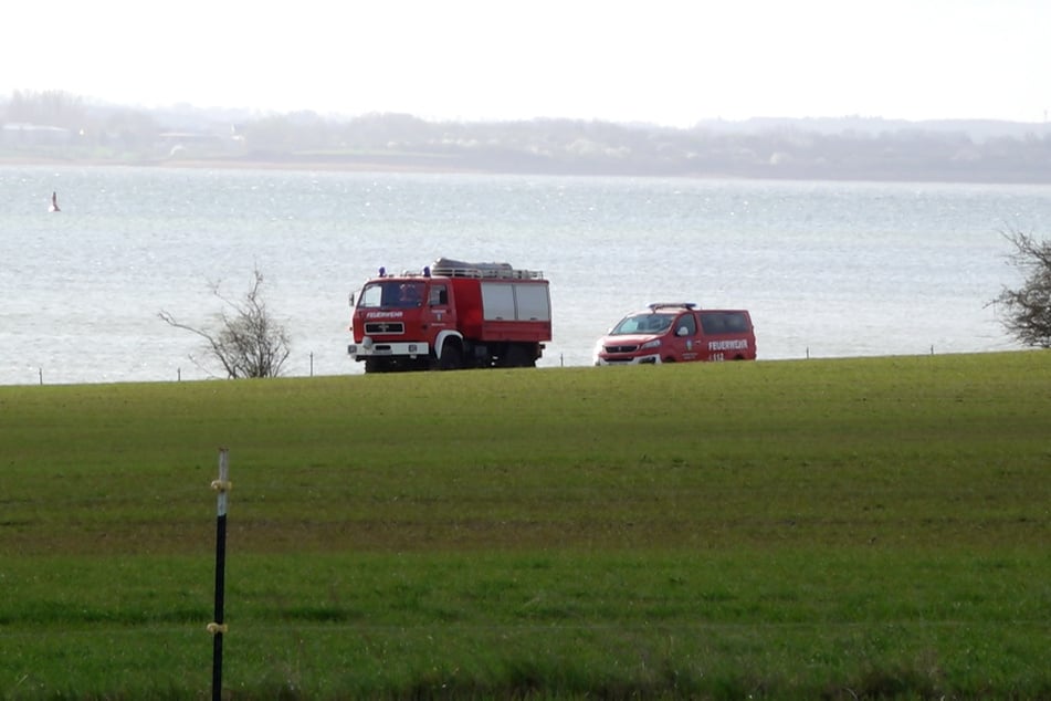 Die Feuerwehr ist auch am Samstag wieder vor Ort, unter anderem um den Wal mit Wasser zu benetzen.