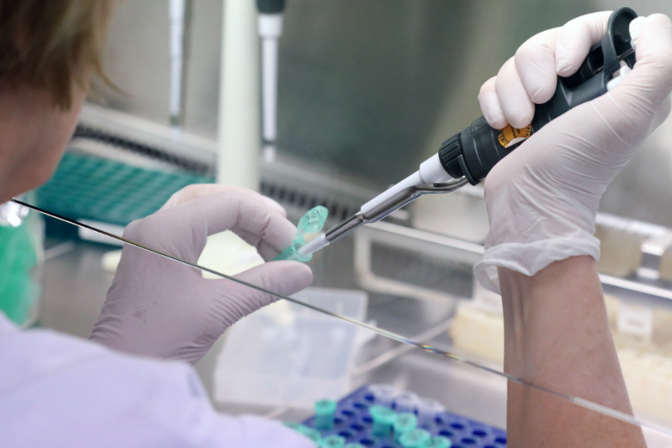 Eine Labormitarbeiterin untersucht Proben auf dem Coronavirus. (Archivbild)