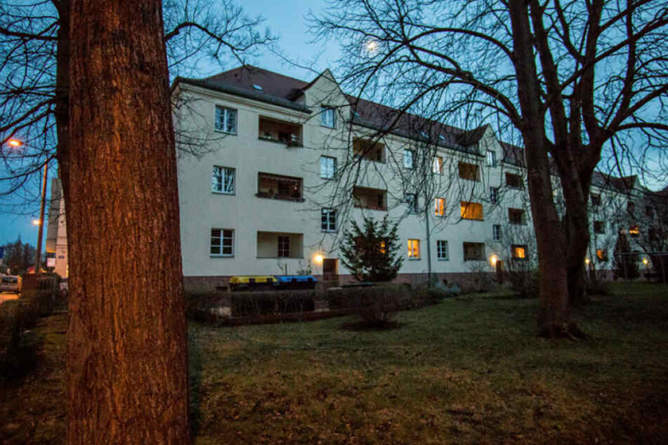 In diesem Kiez im Leipziger Süden wurden 2017 die ersten erschossenen Krähen gefunden.