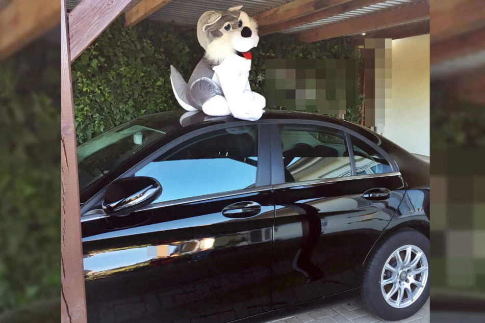 Auf dem Autodach saß ein riesengroßer Plüsch-Hund.