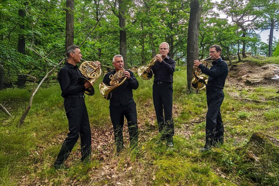 Musizieren im Grünen - das Leipziger Hornquartett (v.l.): Johannes Winkler, Max Hilpert, Tino Bölk und Michael Gühne.