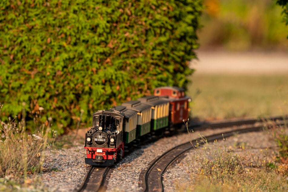 Beim Gartenbahntreffen könnt Ihr mehr Exemplare als sonst begutachten. (Archivfoto)