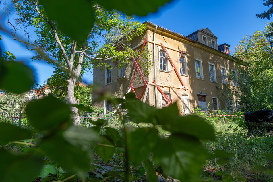 Auf einem 3500 Quadratmeter großen Gelände steht die Villa Akazienhof.