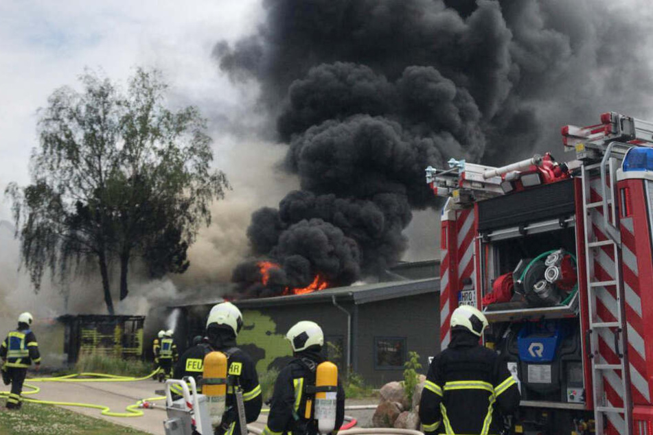 Dichter schwarzer Rauch steigt vom Brandort in Rostock auf.