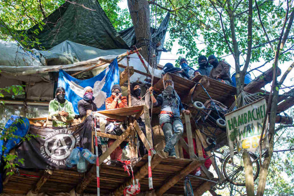 Im sogenannten Wiesencamp in der Nähe des Waldes war ein Stoppelfeld in Brand geraten.