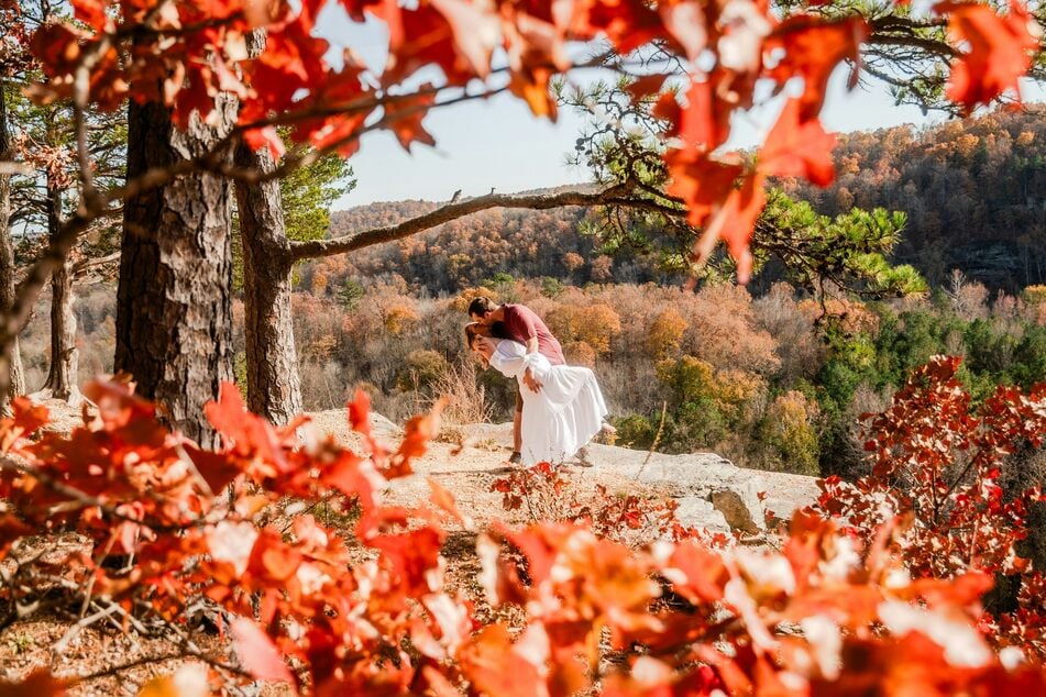 Spruch des Tages am Samstag, dem 8.11.2025.