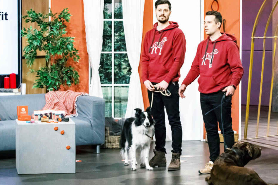 Fitness-App für Hunde: Bekommen Bonner Brüder 200.000 Euro aus der "Höhle der Löwen"?