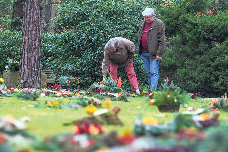 Monika (67) und
Herbert Kirsch (69)
legen einen Kranz
für die verstorbene
Großmutter an den
Rand der grünen
Wiese. Eigentlich
ist ihr Grab ein paar
Schritte weiter in
der Mitte - aber
dorthin dürfen sie
nicht zu Fuß.