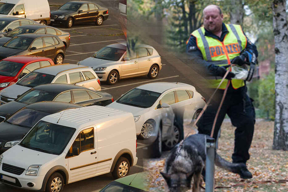 Sogar der Fährtenhund war schon auf dem Weg zum Einsatzort, um nach dem Jugen zu suchen. (Symbolbild)