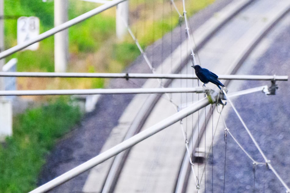 Kran reißt Oberleitung herunter! Bahnstrecke in Sachsen-Anhalt gesperrt
