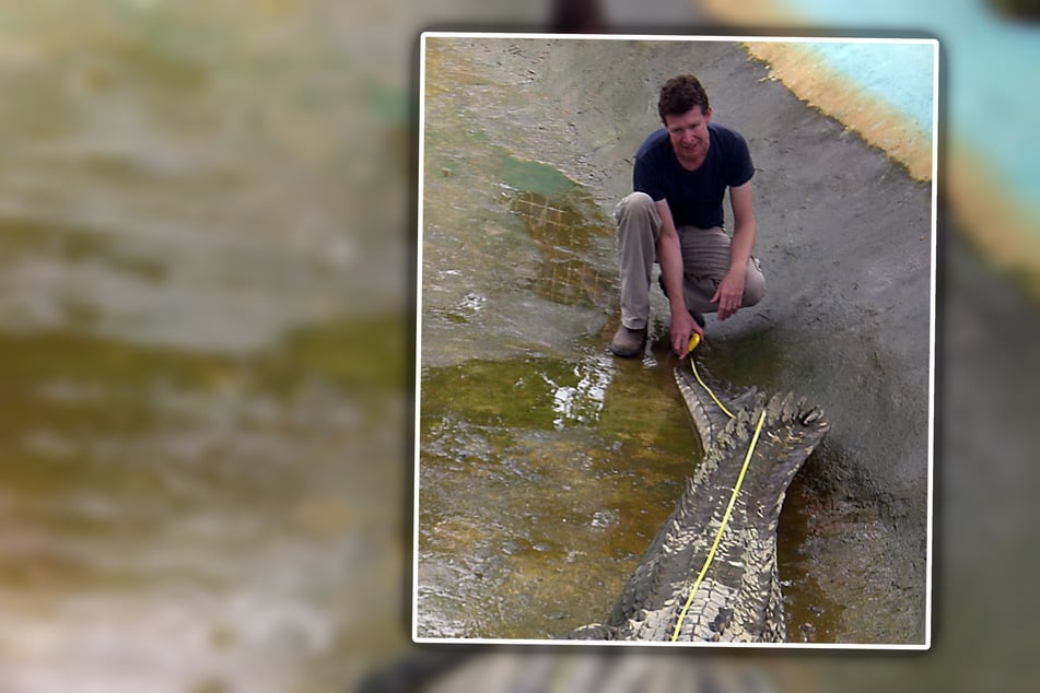 Adam Britton (51) beim Ausmessen eines der größten Krokodile aller Zeiten. (Archivbild)