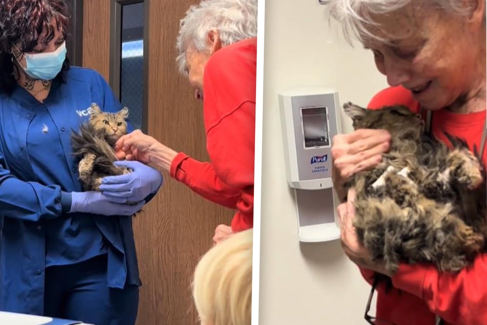 Katherine Kiefer (82) was finally able to hold her cat again.