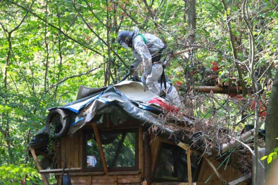 Ein Polizist steht im Hambacher Forst auf dem Dach eines von Aktivisten gebauten Hauses.