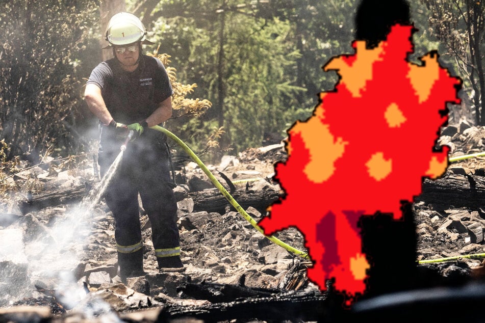 Sommer-Hitze wird extrem: Waldbrandgefahr in Frankfurt und Hessen steigt