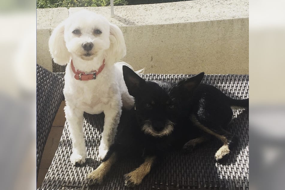 Blanco und Sissi erlebten in ihrer gemeinsamen Zeit so einiges.