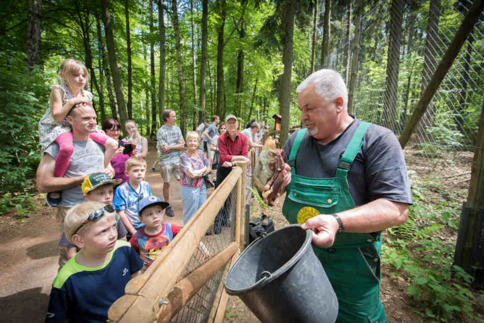 2018 war für das Wildgatter ein Rekord-Jahr. Mehr als 45 000 Besucher strömten in das Areal in Oberrabenstein.