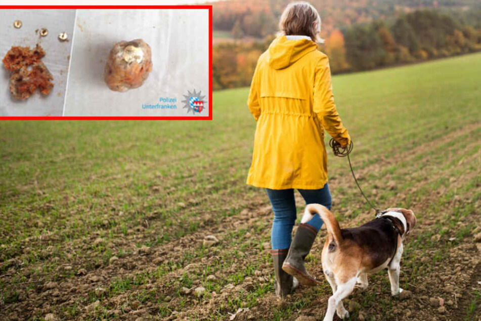 Die 53-jährige Frau konnte gerade noch verhindern, dass ihr Hund den Köder schluckt (Symbolbild).
