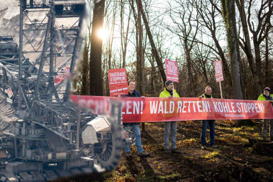 Umweltschützer protestieren gegen den Braunkohle-Tagebau und die Rodung des Hambacher Waldes.