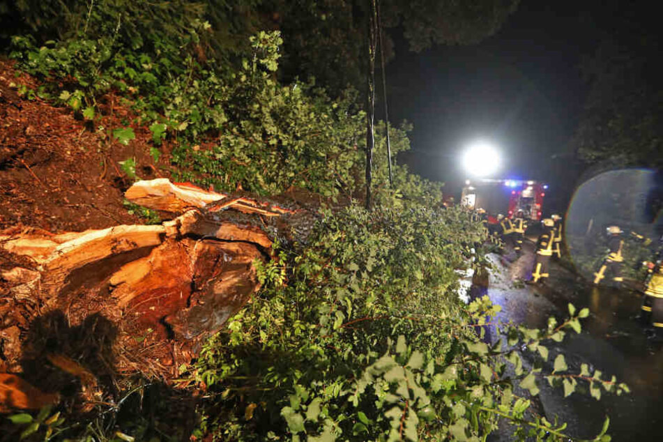 Auch in Oberlungwitz tobte das Gewitter: In der Ursprunger Straße brach ein großer Ast ab und fiel auf eine Stromleitung, die dadurch abriss.