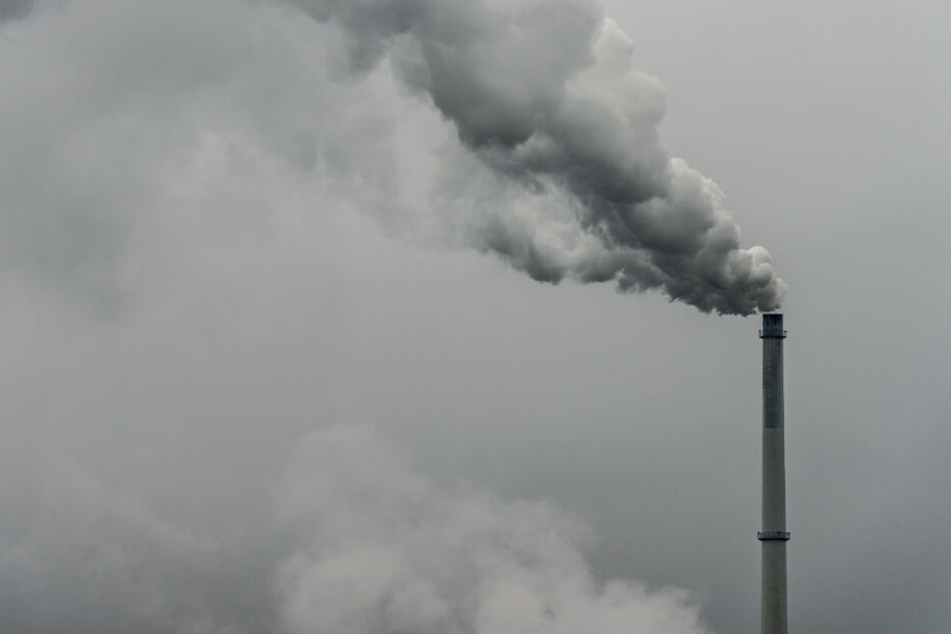 Auch in Sachen "Zustand der Umwelt" zeigen sich die Befragten nun deutlich kritischer. (Symbolbild)