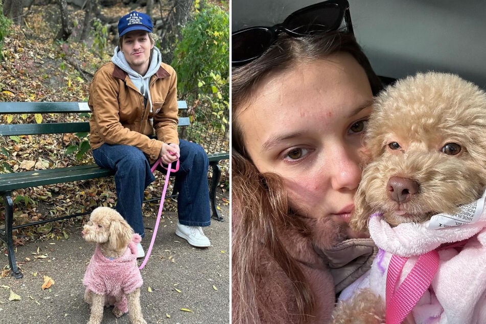 Millie Bobby Brown honored her dog Winnie's third birthday with an adorable post shared on Wednesday.
